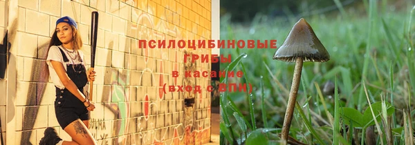 шишки Алексеевка