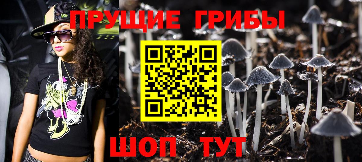 Галлюциногенные грибы прущие грибы Мытищи