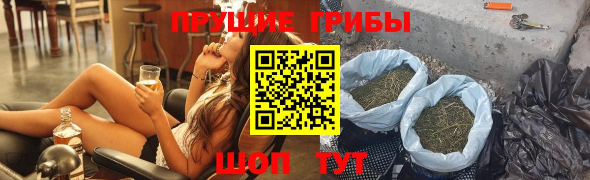 Псилоцибиновые грибы Psilocybine cubensis  Вход с VPN  Мытищи 